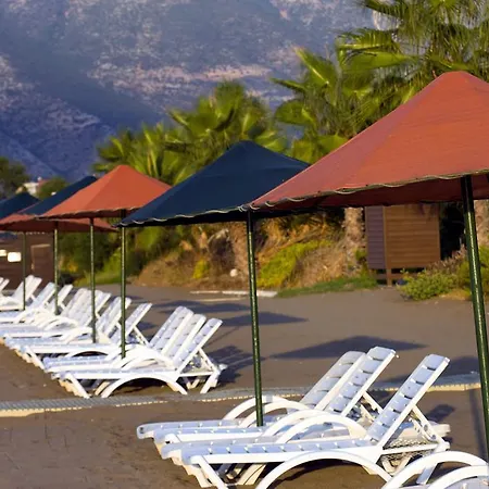 Presa Di Finica & 5*